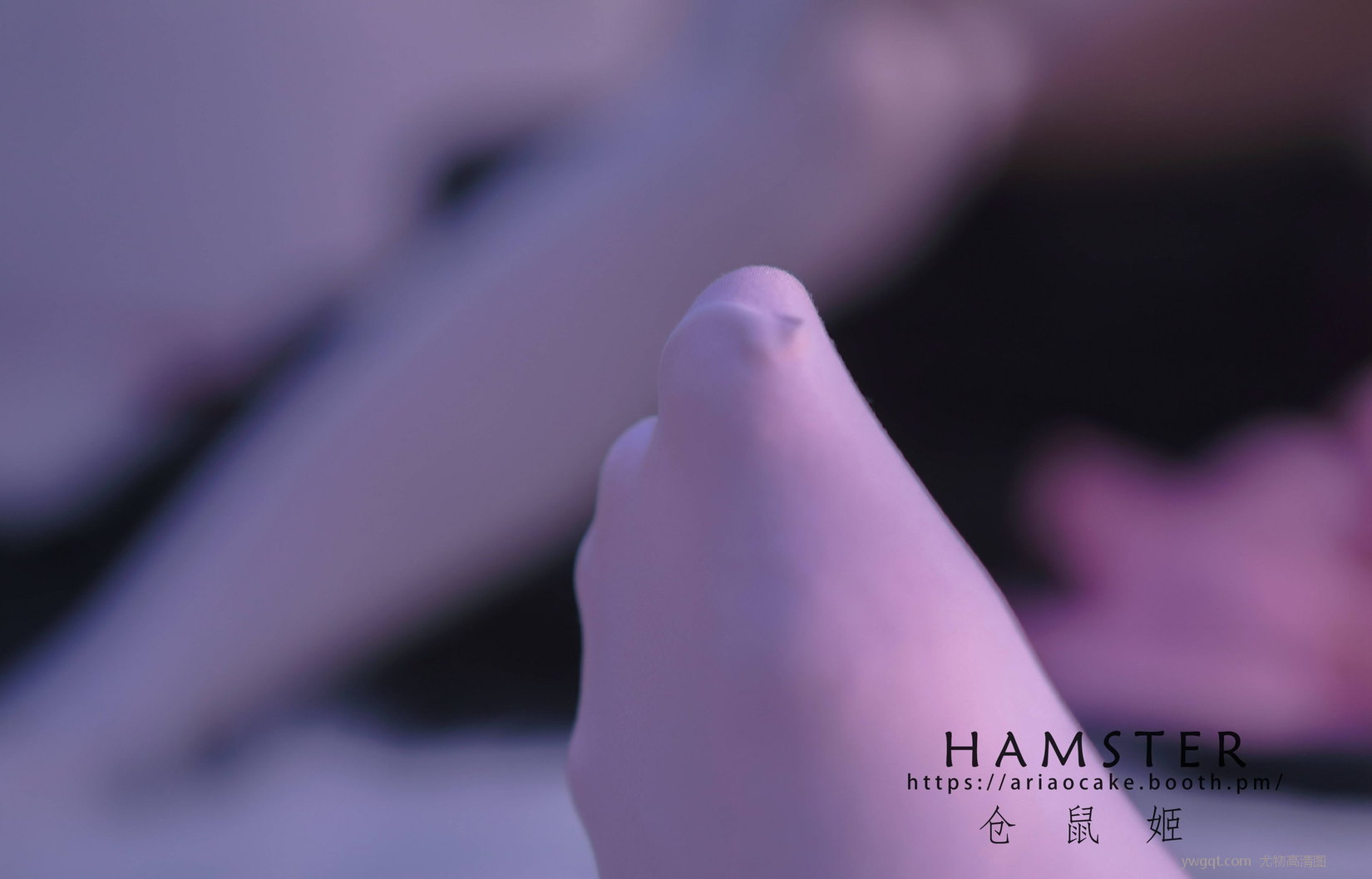 @cosд] VOL.5 HAMSTERS[  崿µ @VOL.2 @ҾŮ2[34P] 7ҳ 