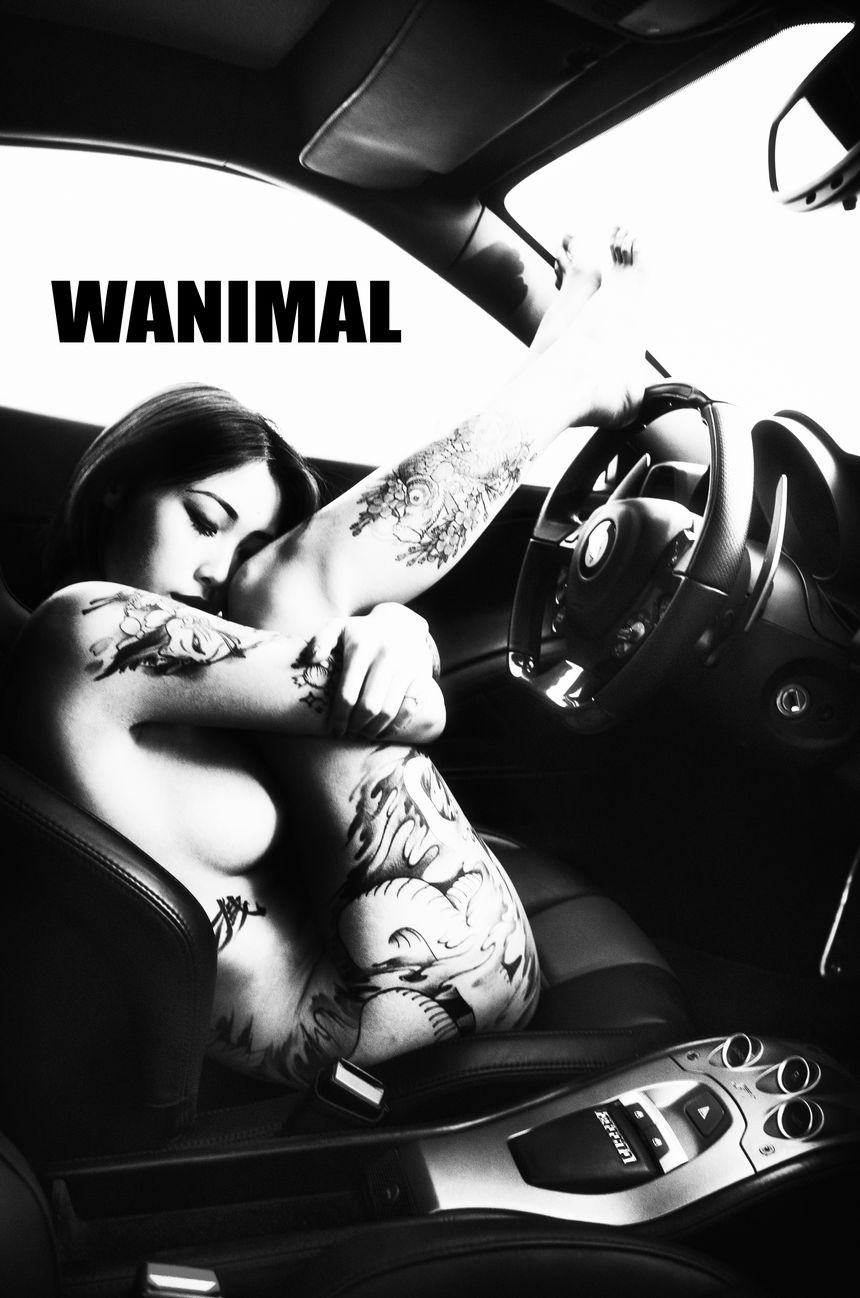 WANIMALٷ  () ʥ ͼ [70P] ߶ 1ҳ 