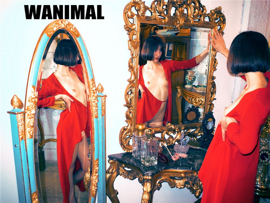 ڹ WANIMALٷ 20196 ͼ[70P] 1ҳ 