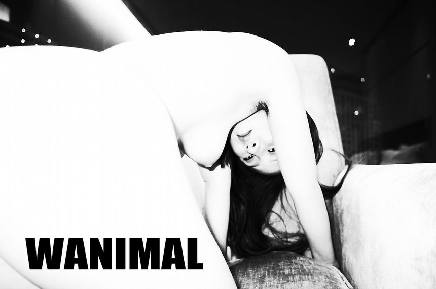 WANIMALƷ ʥ [134P] (ʮ) ͼ 1ҳ 