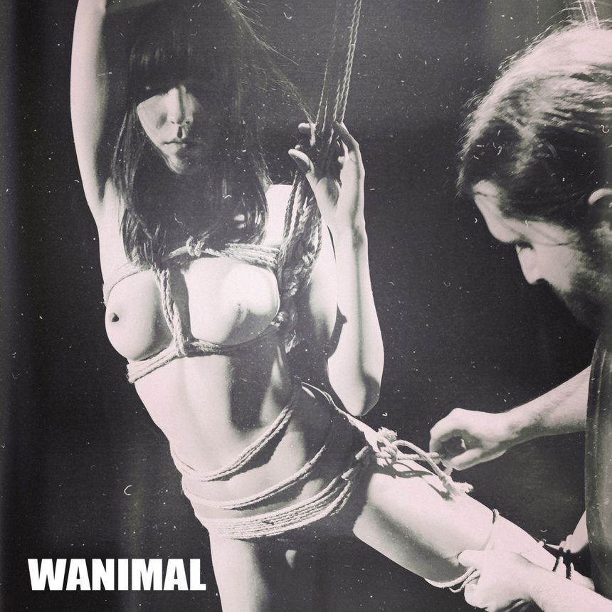 [64P] ڵ ͼ WANIMAL (ʮ) 1ҳ 