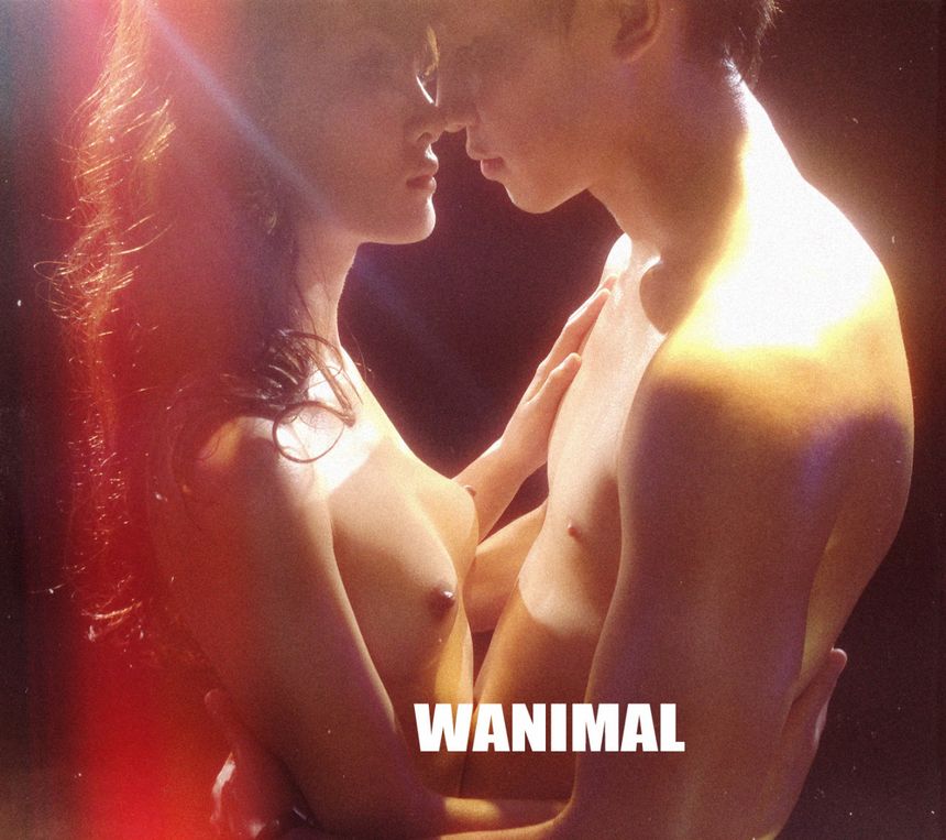 ͼ () ڹ WANIMALƷ [71P] 3ҳ 