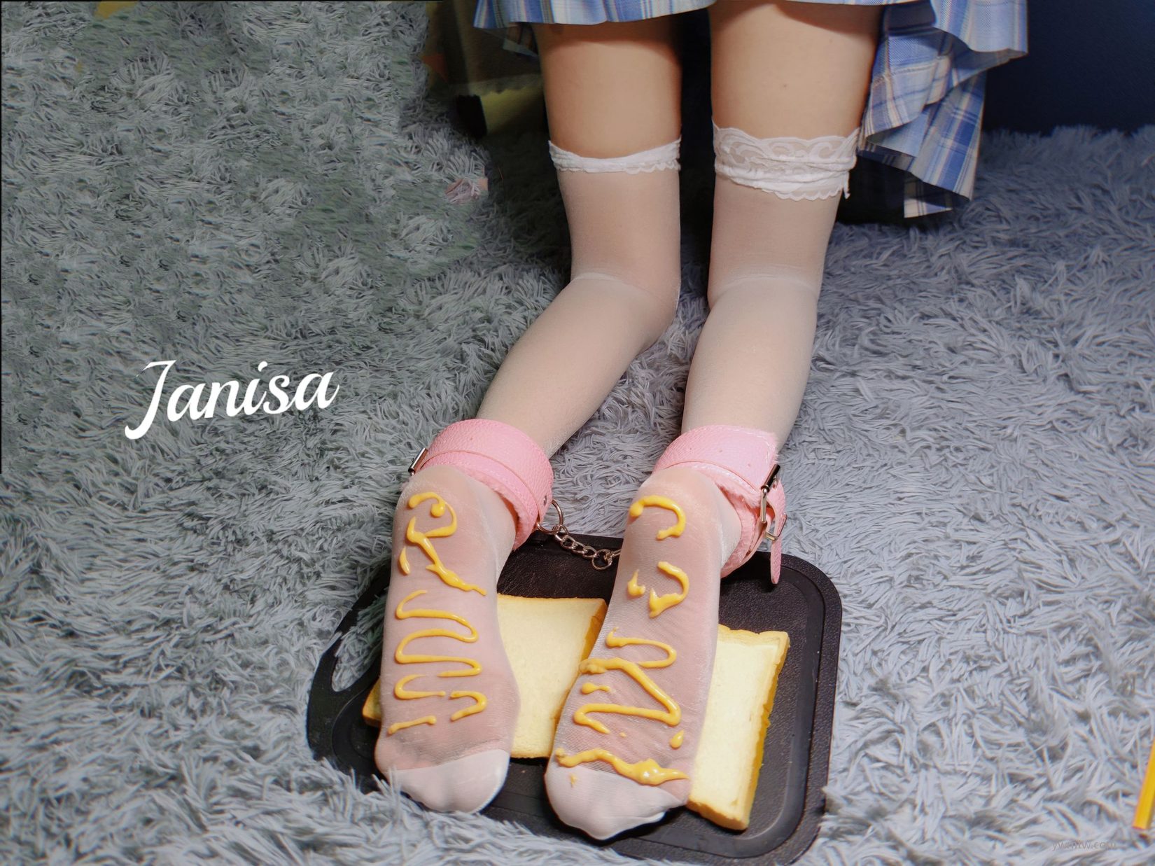 Janisa   ˽ͼ @ͼ 1ҳ 